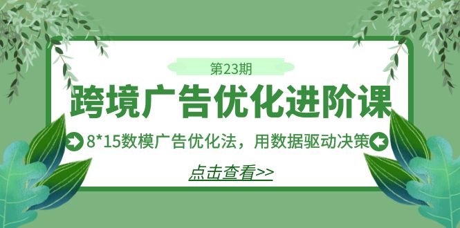 (7131期)跨境广告·优化进阶课·第23期,8*15数模广告优化法,用数据驱动决策