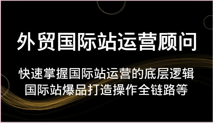 外贸国际站运营顾问-快速掌握国际站运营的底层逻辑,国际站爆品打造操作全链路等