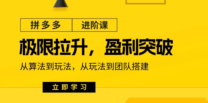 (11435期)拼多多·进阶课:极限拉升/盈利突破:从算法到玩法 从玩法到团队搭建-18节