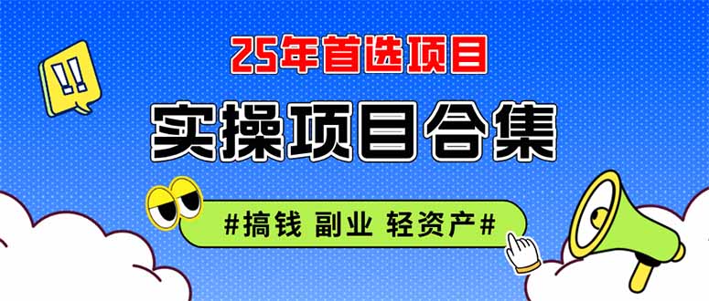 (14767期)2025实操项目合集 挂机类型 直播类型 轻资产创业类型 课程分享各项目介…