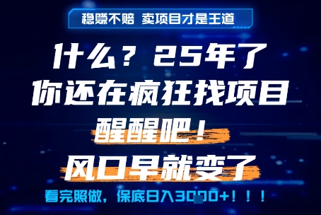 什么？25年你还在疯狂找项目做，醒醒吧，看完这些你全都懂了！
