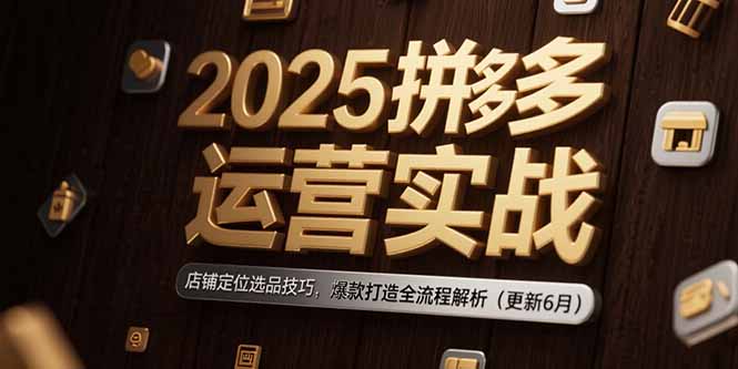 （15235期）2025拼多多运营实战：店铺定位选品技巧，爆款打造全流程解析（更新6月）
