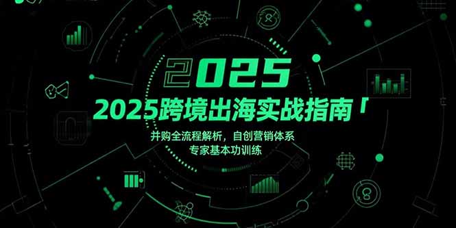 (15503期)2025跨境出海实战指南,并购全流程解析,自创营销体系,专家基本功训练