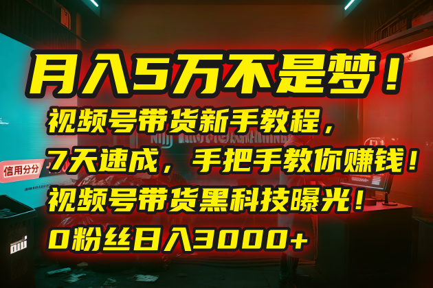 (15595期)月入5万不是梦!视频号带货新手教程,7天速成,手把手教你赚钱!视频号…
