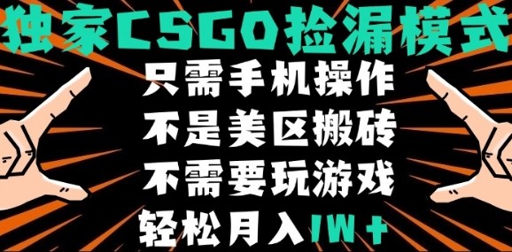 CSGO自动捡漏项目，最新独家玩法，不是美区搬砖，不需要了解和玩游戏，新手小白轻松月入1W+