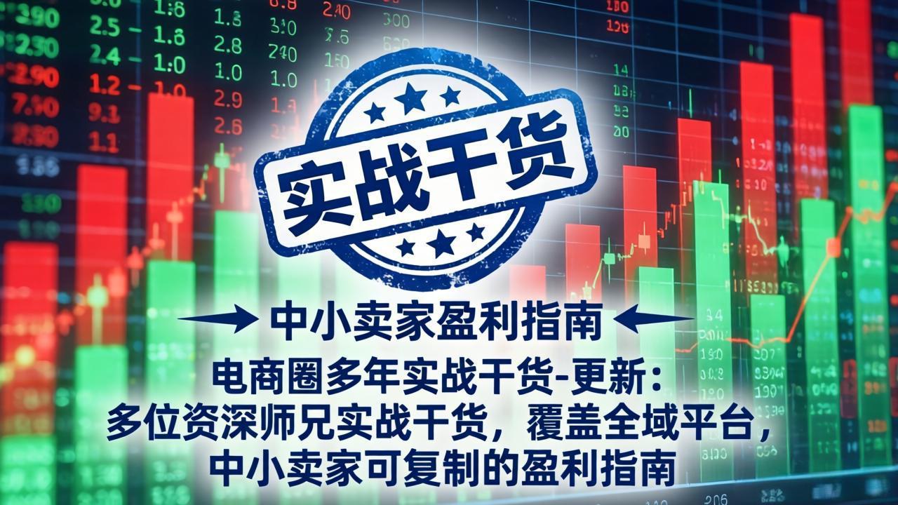 (18398期)电商圈多年实战干货-更新5月10:多位资深师兄实战干货/覆盖全域平台,中小卖家可复制的盈利指南